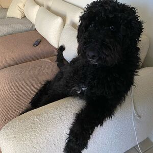 Meet your Posher, Martha